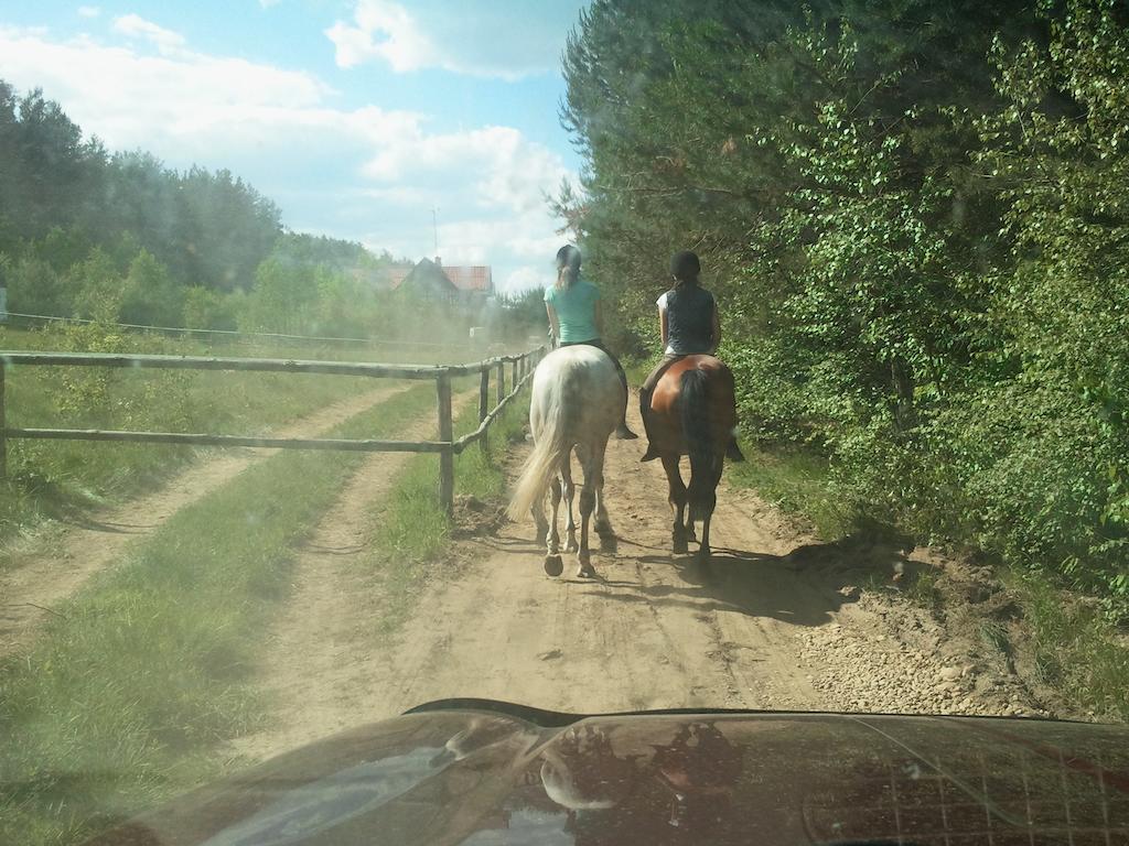 Farm stay Lesniczowka Jednorozec Lipowo Kurkowskie