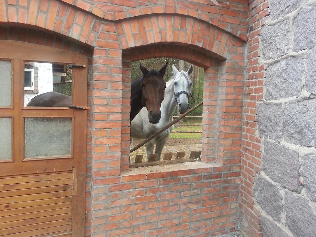 Farm stay Lesniczowka Jednorozec