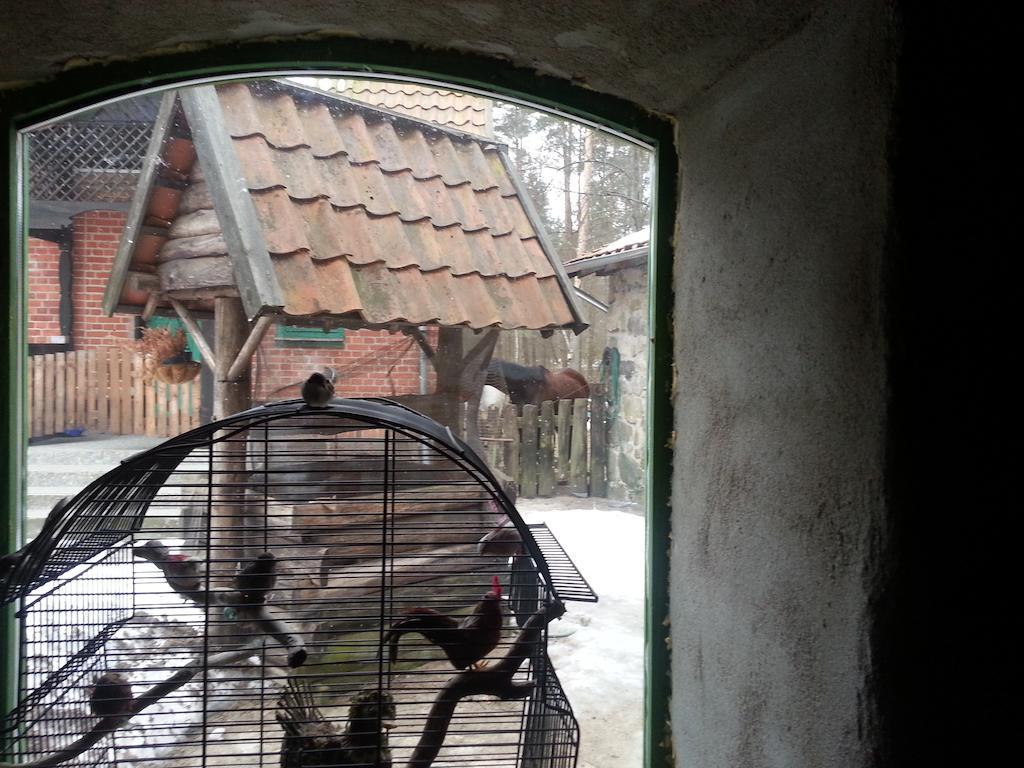Farm stay Lesniczowka Jednorozec Lipowo Kurkowskie